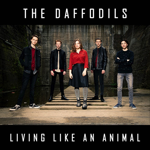 Single Living Like An Animal